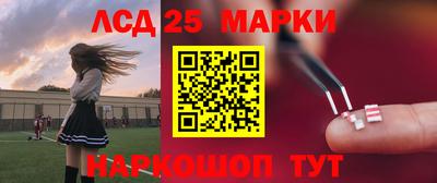 амф Заволжье