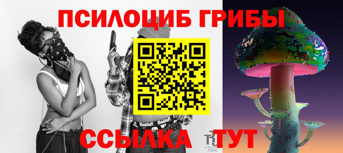 Галлюциногенные грибы MAGIC MUSHROOMS  Псилоцибиновые грибы GOLDEN TEACHER  Георгиевск 