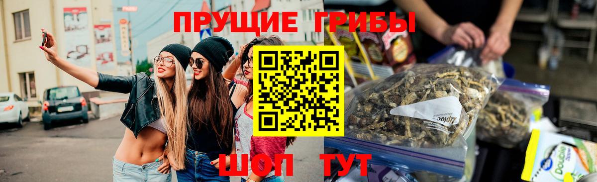 Псилоцибиновые грибы Cubensis Георгиевск