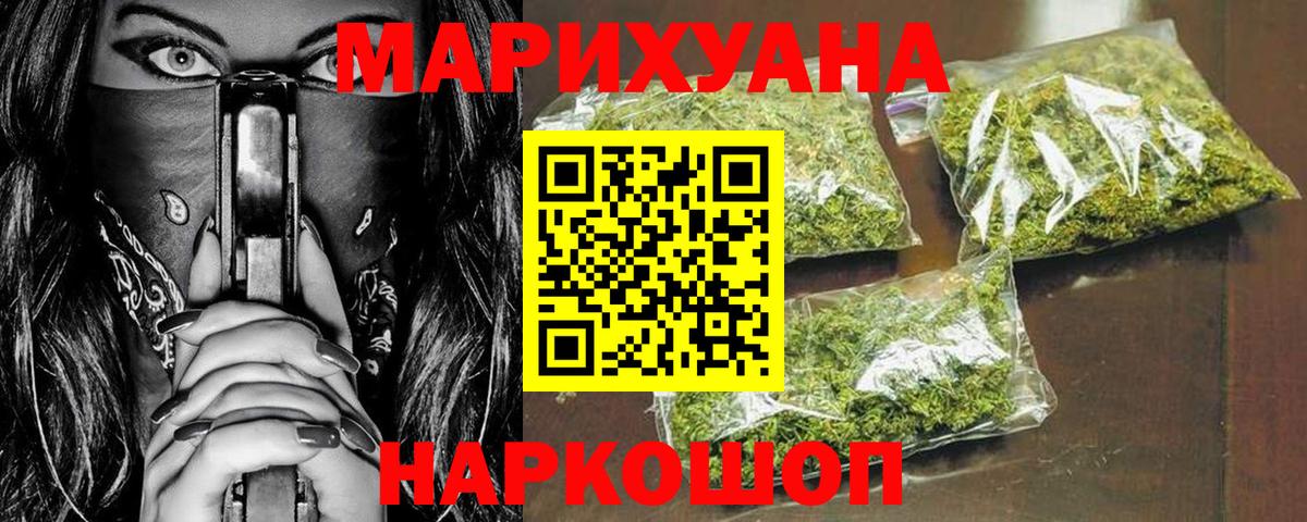 Конопля гибрид Георгиевск